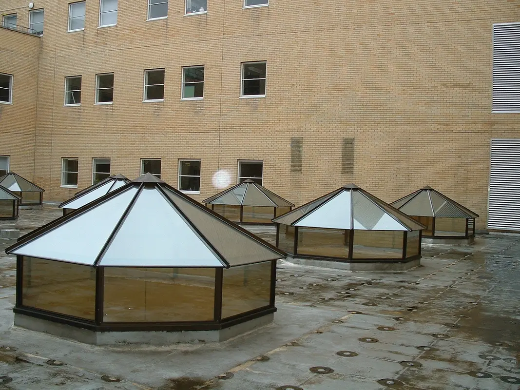 Flat Roof Skylights Putney