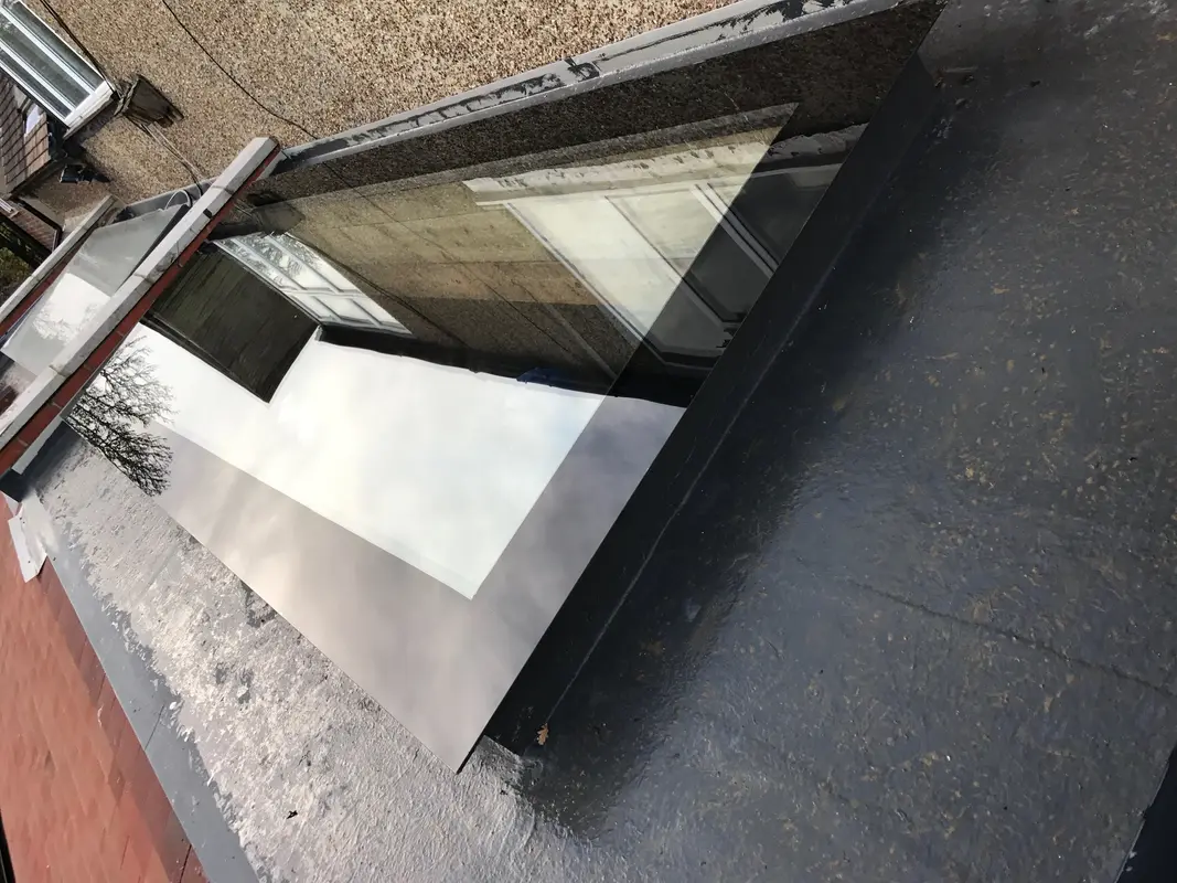 Velux Windows Putney
